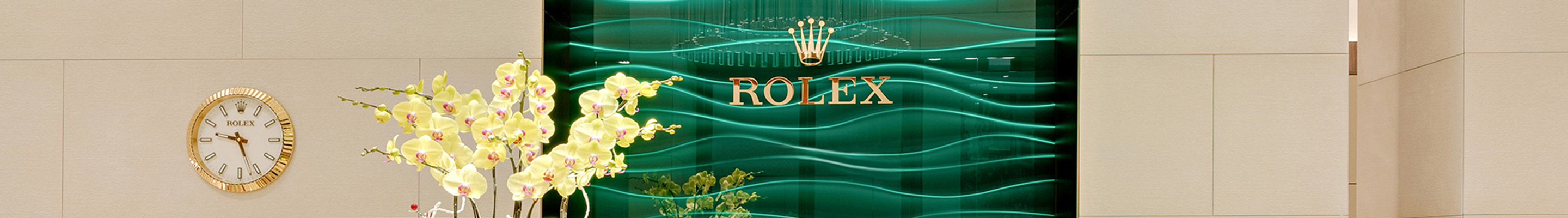 Our Rolex Team