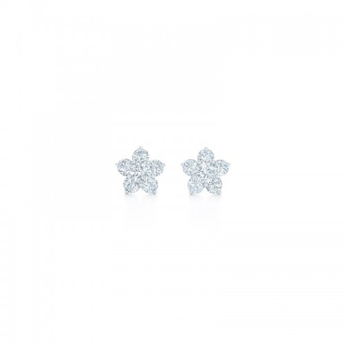 18K White Gold Fancy Diamond Earrings