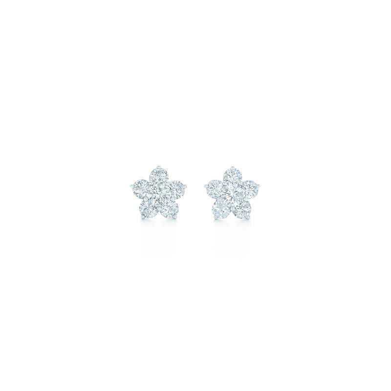 18K White Gold Fancy Diamond Earrings