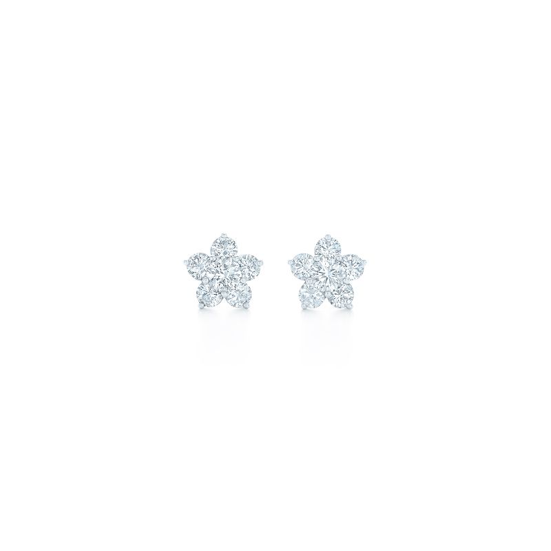 18K White Gold Fancy Diamond Earrings